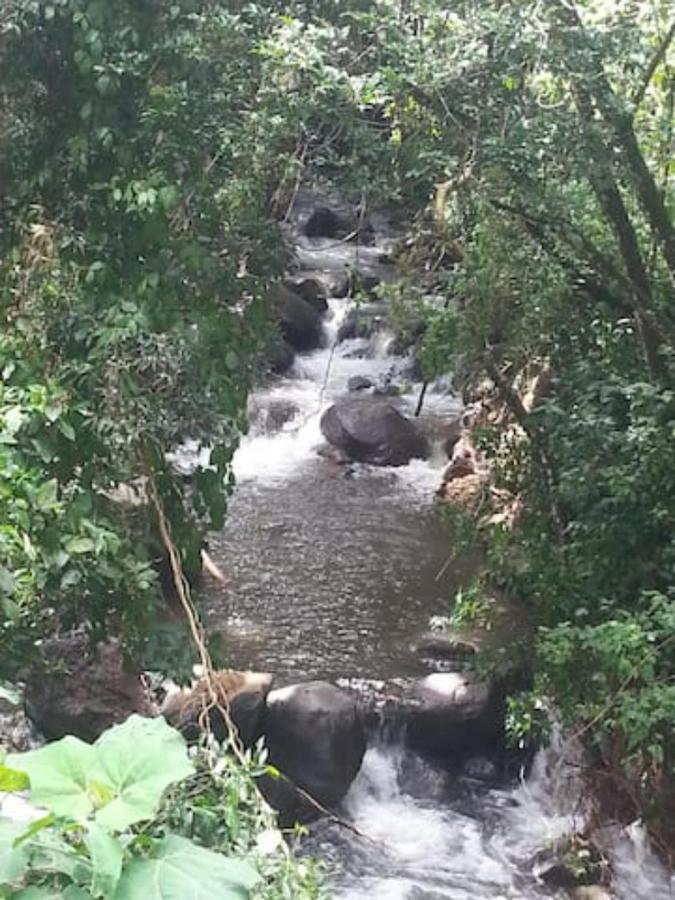 Coffee Garden Ranch Costa Rica Concepcion (Heredia) Exterior foto