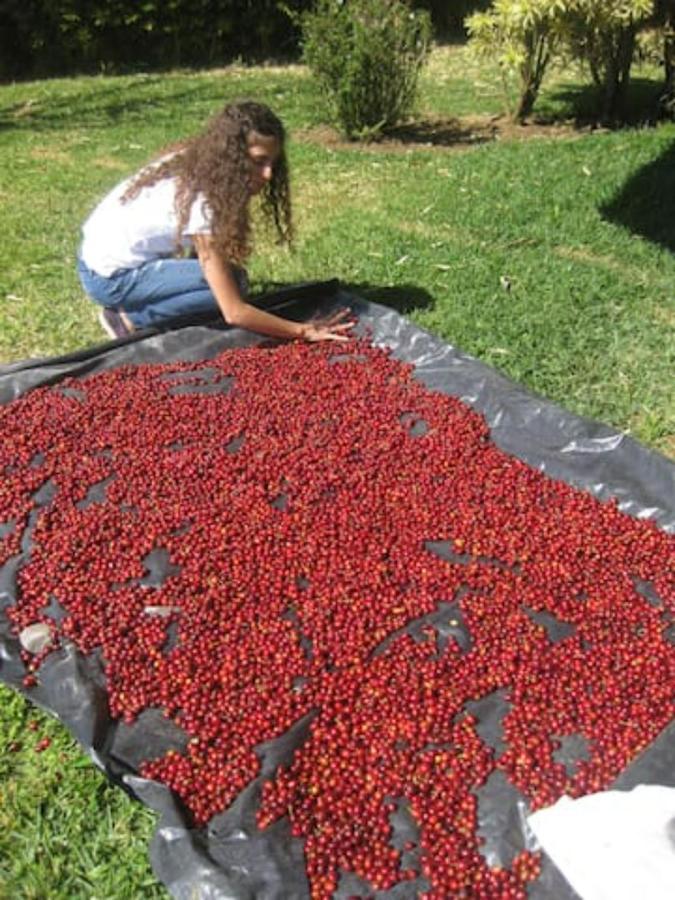 Coffee Garden Ranch Costa Rica Concepcion (Heredia) Exterior foto
