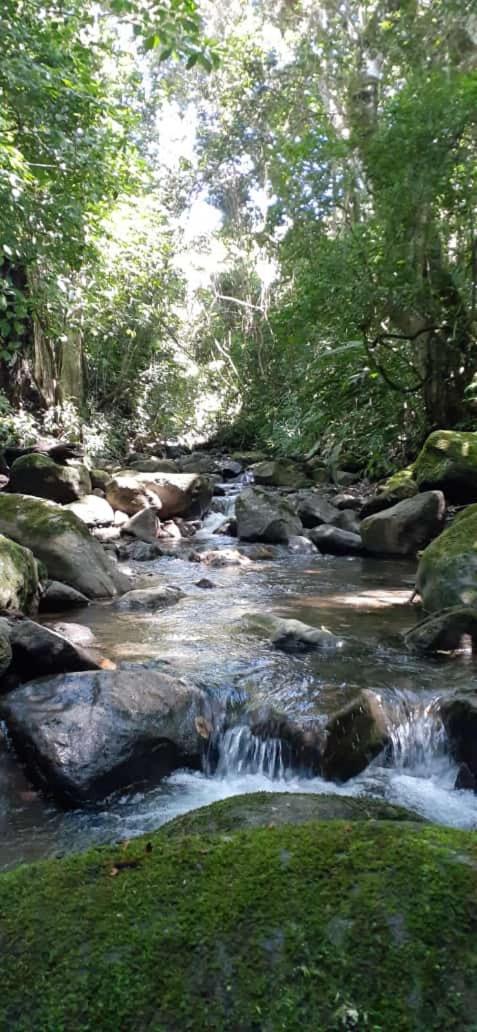 Coffee Garden Ranch Costa Rica Concepcion (Heredia) Exterior foto