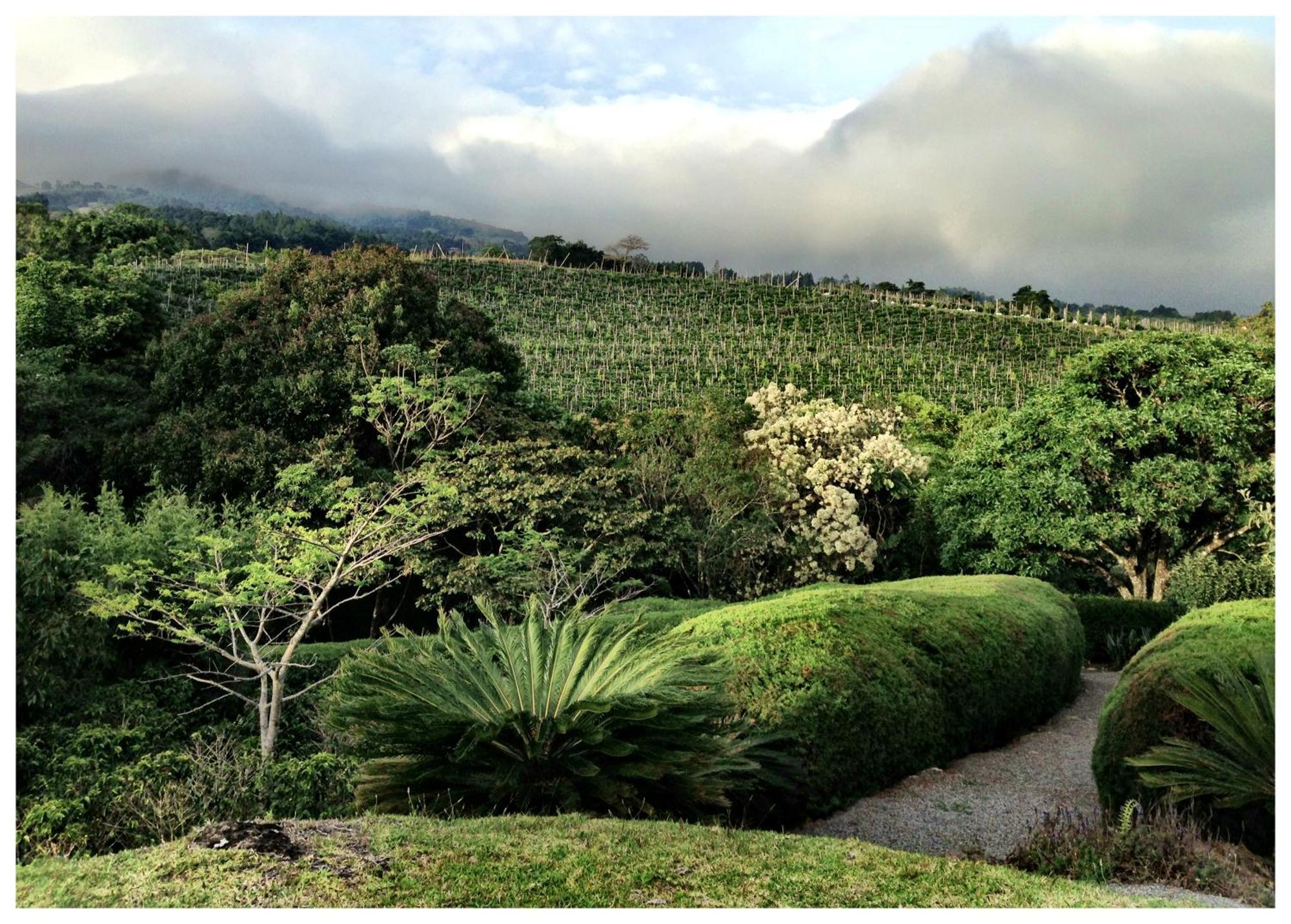 Coffee Garden Ranch Costa Rica Concepcion (Heredia) Exterior foto